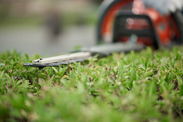 Selective focus of trimming machine and bushes.