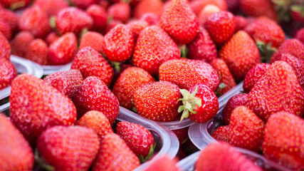 Freshly picked organic strawberries in plastic transparent trays baskets on the market,farmer fair,shop,grocery,supermarket.Red sweet juicy berries of strawberry.Full frame
