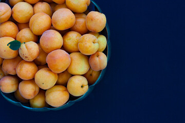 Fresh, organic apricot fruit spilling out of a on dark blue background. Imperfect, orange, seasonal fruits for healthy eating and lifestyle. Space for text