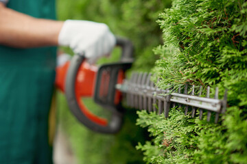 Male gargener trimming hedge using special tool.