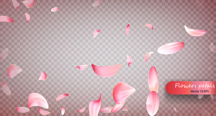 Pink sakura falling petals vector background. Wedding, Valentine or Women day pink floral blossoms flying in wind whirl backdrop. Petals falling on vector transparent background. Vecto 10 EPS