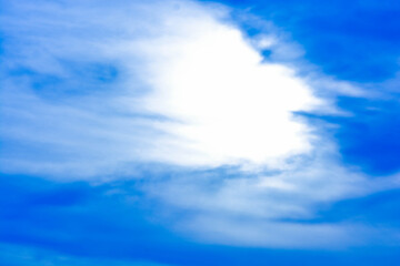 A snap of nature scenery