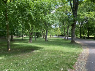 Park landscape, with main footpath and old trees in, Lister Park, Bradford, Yorkshire, UK