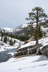 Backcountry wilderness landscapes of Yosemite National Park in the winter by Dalton Johnson Media