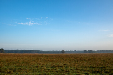 Mallertshofener Heide, a heath nature reserve between Unterschleißheim and Garching near Munich