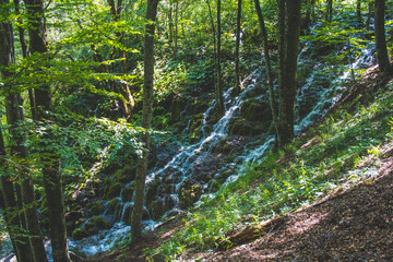 Picturesque landscape at Plitvice Lakes National Park in Croatia.