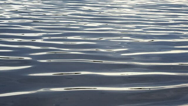 Sonnenlicht reflektiert sich in den sanften und stetig Wellen des Brombachsees. Das klare, saubere Wasser gibt den Blick frei auf sandigen Untergrund. Ideale Voraussetzungen f&uuml;r entspannten Badespass.