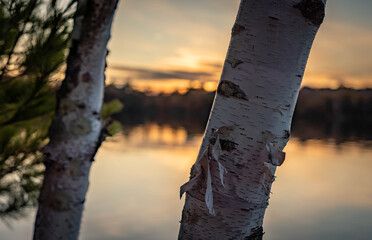 Fototapeta premium Lakeshore at Sunset