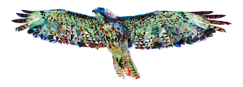 Polygonal image of a falcon on a white background. Made in low poly technique