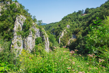 Picturesque landscape at Plitvice Lakes National Park in Croatia.