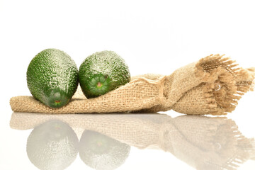 Green fresh ripe tasty avocado, close-up, on a white background.