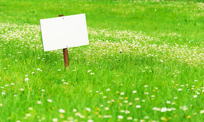 Blank plate on a bright green lawn with space for your text. Mockup, copyspace.