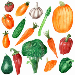 Watercolor hand painted nature garden plants set with green cucumber, broccoli, asparagus, orange carrot, pumpkin, red tomato, bell and chili pepper and garlic vegetables isolated on the white