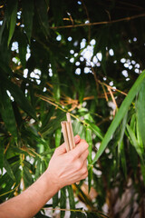 Reusable Bamboo drinking straw in man hands on bamboo background. Zero waste concept