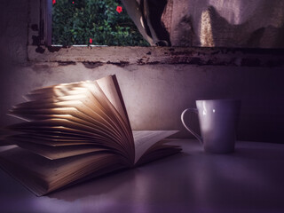 old book on the table next to a white mug with forest view - magic book with light glow - fantasy and imagination in reading © Andreza