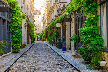 Fototapeta na wymiar Cozy street in Paris, France. Cityscape of Paris