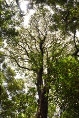 La nature trouve toujours son chemin