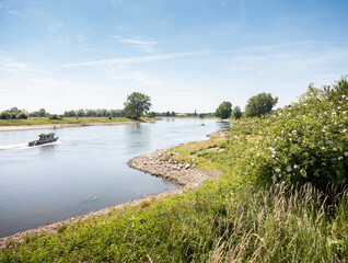 Fototapeta na wymiar boat on river ijssel between deventer and zutphen on sunny summer day