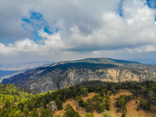 Mount Olympus or
Chionistra - the highest point in Cyprus (1952m)