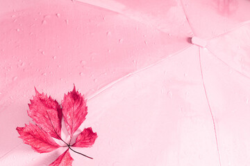 Autumn creative composition. Autumn leaves and pink umbrella on pastel pink background. Fall concept. Autumn background. Flat lay, top view, copy space