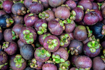 Penang, Malaysia - January 14, 2020 : Closeup heaps of fresh mangosteen fruits.Mangosteen has been known as 