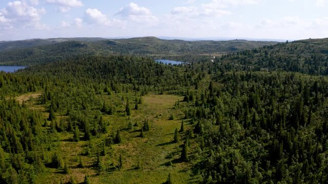 Drone in Hallingdal. Recorded in &Aring;l.