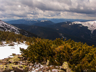 Mountain winter landscape in Carpathians