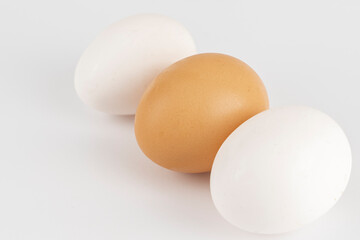 White and brown chicken eggs on a background close-up