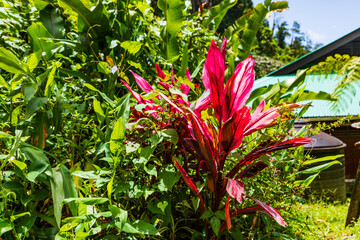 Nationalpark Guadeloupe