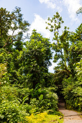 Nationalpark Guadeloupe