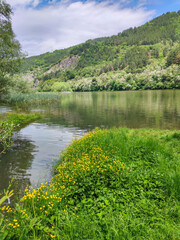 Spring Landscape of Pancharevo lake, Bulgaria