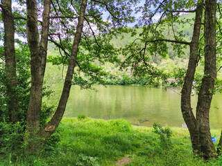 Spring Landscape of Pancharevo lake, Bulgaria