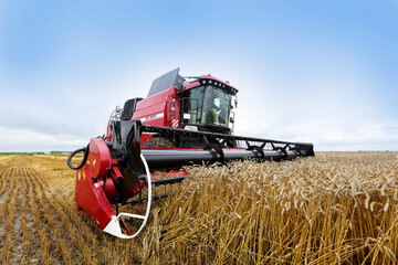 Agriculture, harvesting, wheat fields, warm sunny day at the farmer's field.