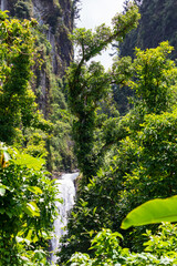 Wasserfälle im Nationalpark Guadeloupe