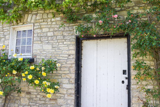 Old English Cottage House with Creeping Yellow and Pink Flowers 