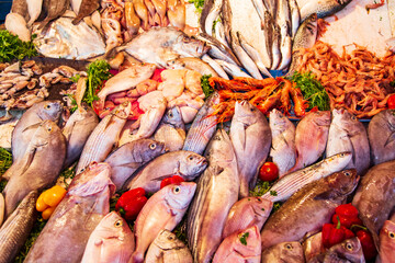 Fish Market in Essaouira. Fresh and healthy food.