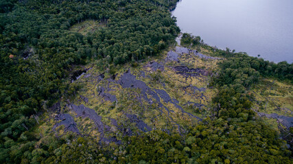 Overhead aerial view of the damage done by a beavers overpopulation and dam construction in the forest besides Lake Fagnano in Tierra del Fuego, Patagonia Argentina.  © Gonzalo