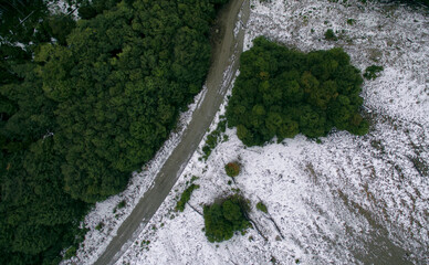 Travel. Dirt road in the mountains across the pine trees forest and snow