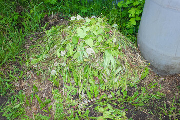 A bunch of green weeds that were weeded out in the garden.