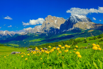Fototapeta na wymiar Alpi di Siusi - Dolomites - Mountains - Italy