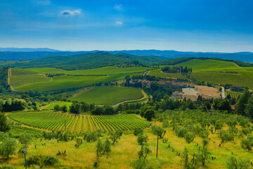Fototapeta na wymiar Tuscany Landscape with Vineyard - Italy