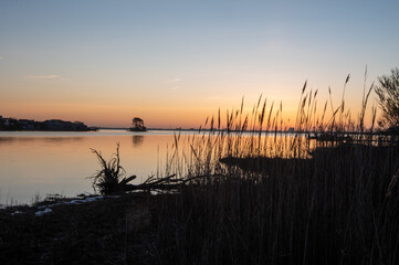 Sea grasses silhouetted during a colorful marsh sunrise.