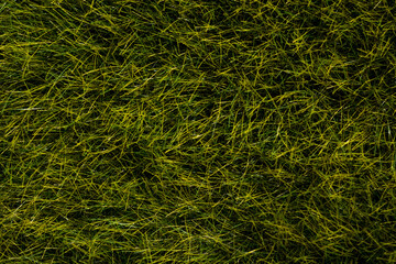 Fototapeta na wymiar Texture of tall bright green artificial grass