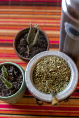 Decoration at home, plants and livingroom