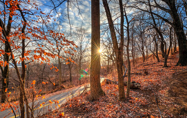 winding road through a forest of bare trees on a hillside with a setting sun bursting from behind a large tree, sunshine illuminating land in golden light, Pierre Marquet State Park Illinois