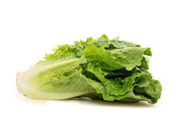 Romaine Lettuce