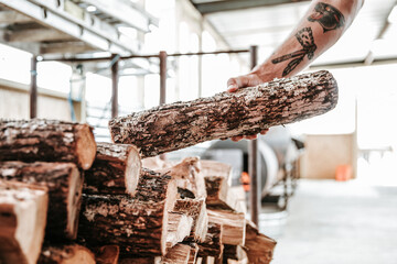 Grabbing a Log of Wood