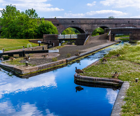 Fototapeta na wymiar A view across the lock gate complex in front of the Park Head Viaduct at Dudley, UK in summertime
