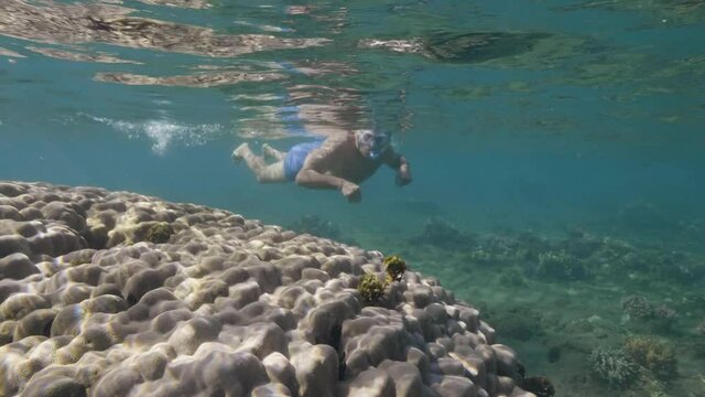 Retired old man enjoying summer vacation snorkeling in the tropical clear ocean.