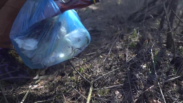 A girl collects garbage in the forest. Environmental pollution. A volunteer removes garbage. cleansing of the nature from plastic.